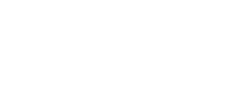 BDMS